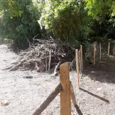 Clôture en grillage noué avec piquet de châtaignier
