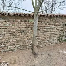 Mur en moellons restauré