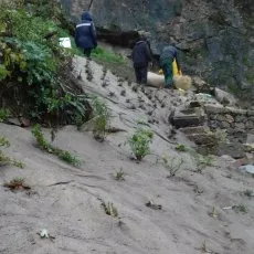 Préparation des espaces verts