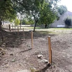 Clôture en grillage noué avec piquet de châtaignier