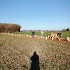 Équipe des espaces verts faisant du paillage