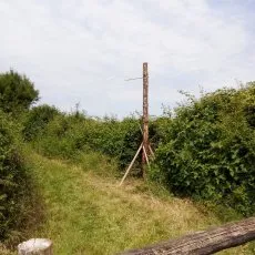 Perchoir à rapaces