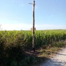 Perchoir à rapaces sur bord de chemin
