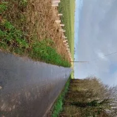 Paillage le long d'une route