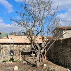 Espaces verts