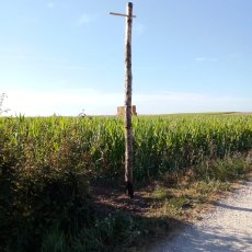 Perchoirs à rapaces