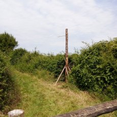 Perchoirs à rapaces