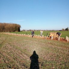 Plantation et paillage - La Faye