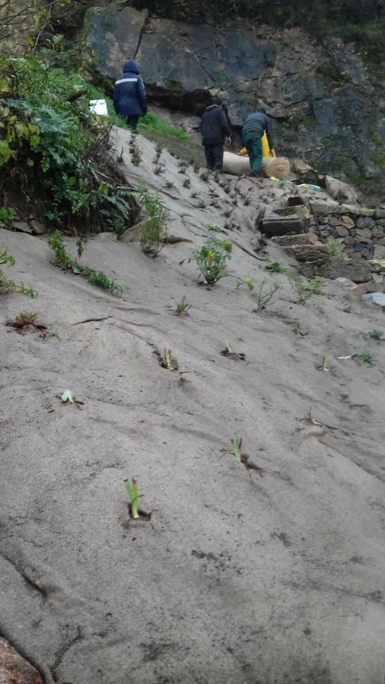 Préparation des espaces verts